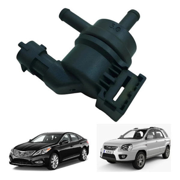 Válvula Canister Kia Sportage 2.0 2.2 Hyundai Azera 3.0 V6
